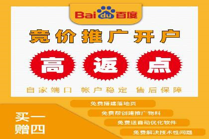 网络推广与竞价广告：双管齐下的策略案例